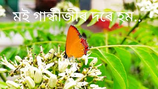 Assamese Poem Recitation-Moi Gandhijir dore hom..