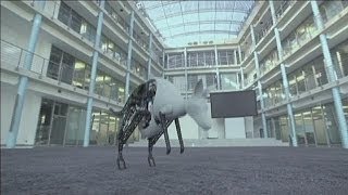 Das bionische Känguru und der Pingpong-Roboter - hi-tech