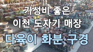 도자기의고장 이천에서 저렴한 다육화분 구경하세요