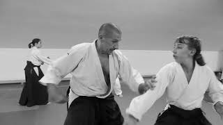 Aikido Budo