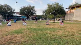 Nitro, NADAC Agility (Virtual); Novice Jumpers Q