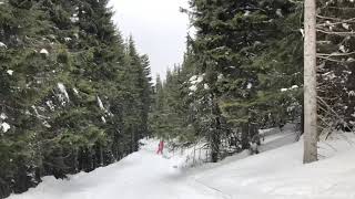 Vezna staza Bela reka - Gvozdac, Kopaonik 28.03.2021.