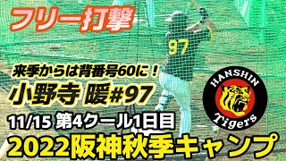 【≪フリーバッティング≫来季からは大学時代の恩師(監督)と同じ背番号60に！勝負の入団4年目！強打の外野手/2022阪神タイガース秋季キャンプ】2022/11/15阪神タイガース・小野寺 暖#97