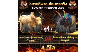 ประวัติ+ข้อมูล คู่4กิโล  ไข่แดง VS ซีอุย #วัวชนวันนี้ #พี่เสือแดนใต้ #วัวชน #ดูวัวชนสด #ข้อมูลวัวชน