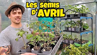 Avril le MEILLEUR mois pour ces 15 SEMIS au potager