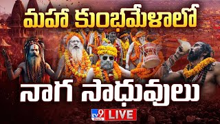 మహా కుంభమేళాలో నాగ సాధువులు LIVE | Power of Naga Sadhu @ Maha Kumbh Mela | Prayagraj - TV9