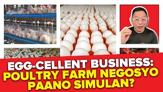 Egg-cellent Business: Poultry Farm Negosyo Paano Simulan?