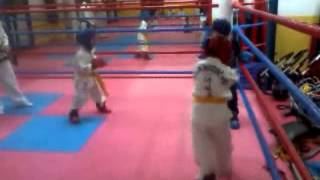 taekwondo / kickboxing parga  plaskasovitis