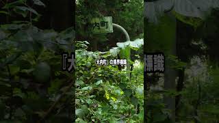 秋田県道9号 田代峠旧道 #廃道 #旧道 #shorts