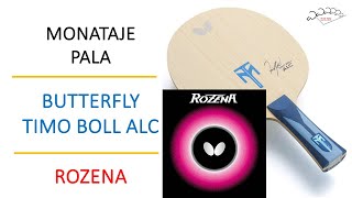 Montaje Butterfly Timo Boll ALC con Rozenas