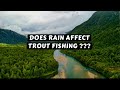 Does Rain Affect Trout Fishing ???