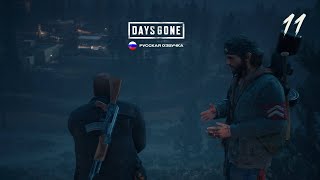 DAYS GONE (Жизнь После)  Мочим орду 11 | #zimatv #daysgone #прохождение