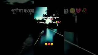 _ একটা মিথ্যা হাসির আড়ালে লুকিয়ে রেখেছি