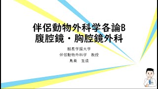 伴侶動物外科学各論B　腹腔鏡と胸腔鏡外科編