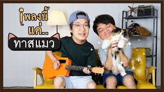 เพลงนี้แด่... ทาสแมว | POP มั้ย