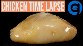 Chicken Breast Time Lapse - Rotting Food Time Lapse