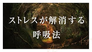 【5分】ストレス解消するマインドフルネス呼吸法【誘導瞑想｜朝・昼・休憩中・夜・寝る前におすすめ】