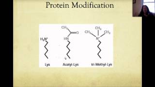 Protein Synthesis and Sorting