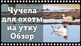 Отличные чучела уток для охоты из пенопласта. Обзор и отзыв.