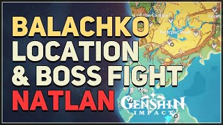 Balachko Boss Fight Genshin Impact