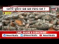 bargarh farmer issue ନିଜ ଫସଲ ନଷ୍ଟ କଲେ ଚାଷୀ cabbage bargarh odia news