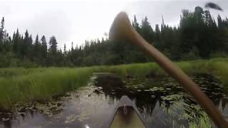 Paddling - Thelma Creek from Tuscarora Lake to the Thelma Lake portage in the BWCA