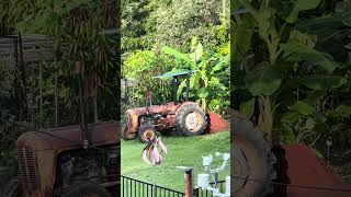 GARDENING TRACTOR - Massey Ferguson 35￼