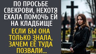 По просьбе свекрови, нехотя ехала помочь на кладбище… Если бы она только знала зачем её туда позвали