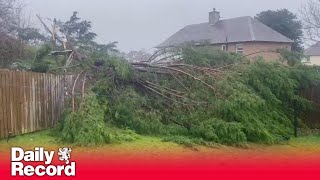 Storm Éowyn leaves 11,000 Scots without power as five areas affected by outages