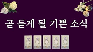 [타로카드] 곧 듣게 될 기쁜 소식🙏