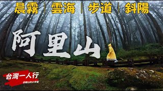 【台灣一人行】第七章｜水墨「阿里山」4K純享，雨中漫步的療癒之旅  晨霧/雲海/步道/斜陽 #旅行 #阿里山 #taiwan #travel