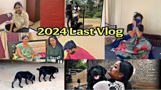 ୨୦୨୪ର ଶେଷ vlog ॥ ଘରକୁ ଆସିଲେ ନୂଆ ଅତୀଥି ପୁତୁଲ ସାଗେଂ ଦେଖା ହେଲା ॥ 🐕‍🦺🐶🐩