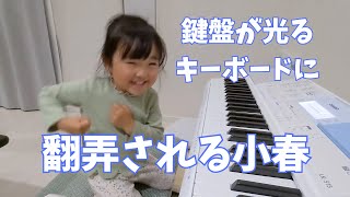 【3歳】鍵盤が光るキーボードに翻弄される小春【生後8ヶ月】