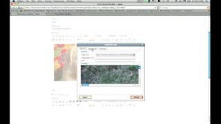 Adding Articles with the News addon in CMS Made Simple