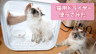 【辛口評価】自腹で猫用ドライヤー買ってみたけど...