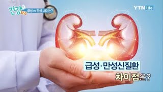 급성 vs 만성신질환 차이점 / YTN 라이프