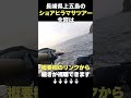 【ポイント紹介】上五島 へショアから春マサを狙う！ショアヒラマサツアー！！ 釣king nagasaki hirado amberjack