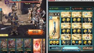 【グラブル】光属性　肉集め　EX　2100↑　フルオート　ゼウス編成　恒常キャラのみ　【古戦場】