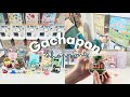 $100 Gachapon Shopping 🧸// Sanrio machines, Premium Gachapon, and blind box vending machine