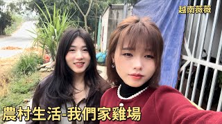 回家看我們家雞場，過年後雞可能沒得活了｜越南農村女孩