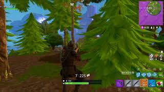 Fortnite victory with no aiming crosshair bug