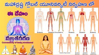 DAY 11:వజ్ర శరీరం::       ALL SYSTEMS IN BODY