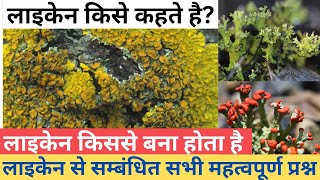 लाइकेन किससे मिलकर बना होता है |what is lichen in hindi #lichen #exam #biology