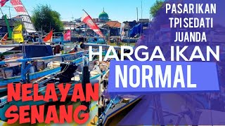 HARGA IKAN DI PASAR TRADISIONAL NORMAL || KUNJUNGAN KE PASAR PELELANGAN IKAN JUANDA SEDATI SIDOARJO