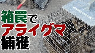 日々のあぶく【箱罠を仕掛ける】～アライグマ防除従事者となり、駆除のための箱罠を仕掛けました。