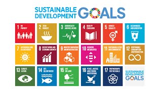 SDG 14 Life Below Water - Sustainability Development Goals(SDGs) Video Series