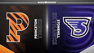 Princeton at Stonehill | NCAA Women’s Ice Hockey | Highlights - November 29, 2024 | #ECACHockey