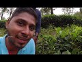 last day in valparai episode 6 vibes with vv travel vlog