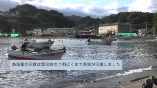 宮古市の震災と復興