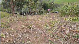 Elaboración de silo. rio  patuca Honduras